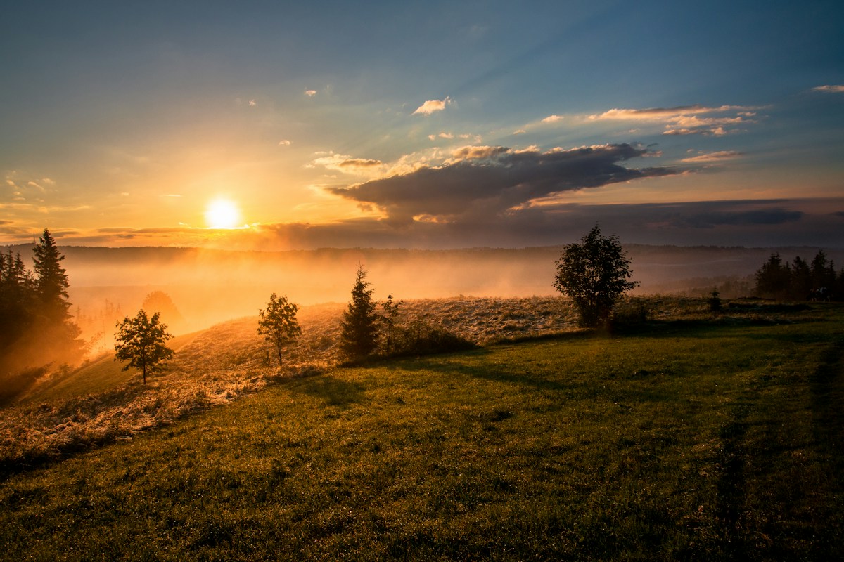 Ruhige Landschaft mit Wiesen und Bäumen im warmen Sonnenlicht