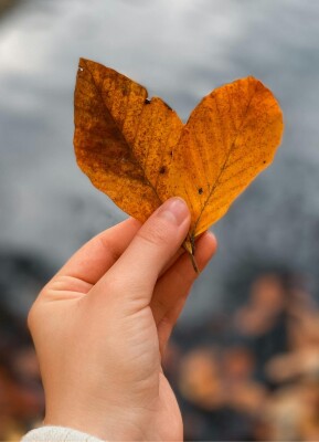 Warum der Herbst deinen Körper aus dem Takt bringt – und was ihm jetzt gut tut - Warum der Herbst deinen Körper aus dem Takt bringt – und was ihm jetzt gut tut