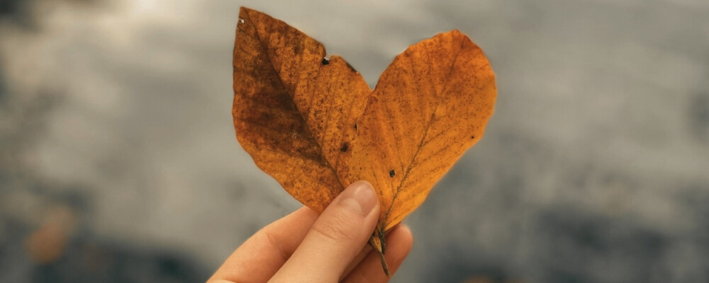 Warum der Herbst deinen Körper aus dem Takt bringt – und was ihm jetzt gut tut - Warum der Herbst deinen Körper aus dem Takt bringt – und was ihm jetzt gut tut