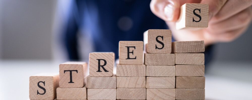 Stress im Kopf, Chaos im Bauch: So hängen Psyche, Darm und Nährstoffe zusammen  - Stress im Kopf, Chaos im Bauch: So hängen Psyche, Darm und Nährstoffe zusammen 