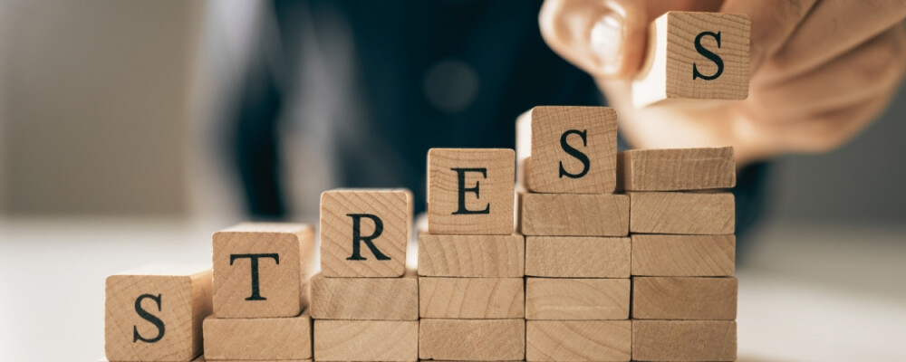 Stress im Kopf, Chaos im Bauch: So hängen Psyche, Darm und Nährstoffe zusammen - Stress im Kopf, Chaos im Bauch: So hängen Psyche, Darm und Nährstoffe zusammen 