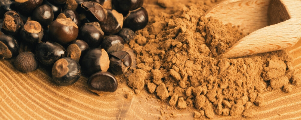 Guarana - der natürlicher Energielieferant - Guarana - Natürlicher Energielieferant | vitalundfitmit100
