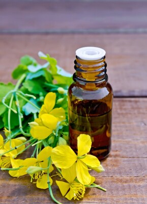 Ätherische Öle - Ätherische Öle kurz erklärt | vitalundfitmit100
