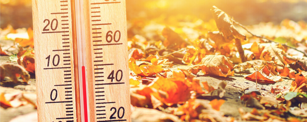 Gut informiert durch den Herbst: Nährstoffe bewusst auswählen - Nährstoffe im Herbst: Überblick | vitalundfitmit100