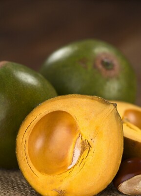 Superfood-Kunde: L wie Lucuma - Ursprung und Nutzung des „Inka-Golds“ - 