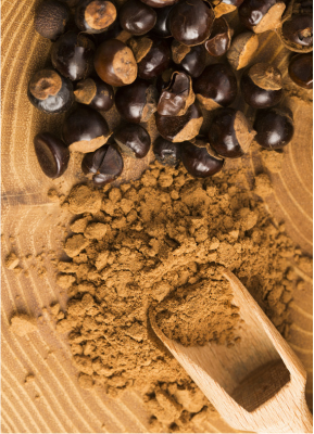 Guarana vs. Kaffee: Das Duell – Wirkung, Vorteile und Nachteile - Guarana vs. Kaffee: Vorteile - Nachteile - Nebenwirkungen | vitalundfitmit100