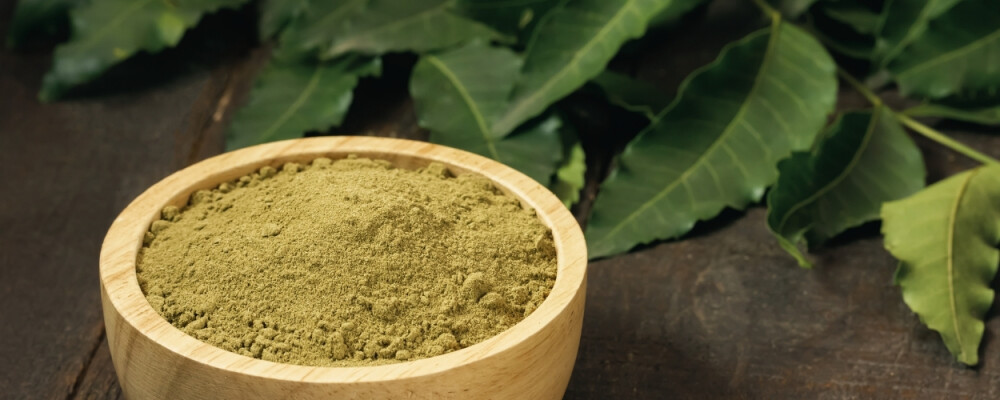 Neem (Niem) » Welche Wirkung haben die Neemblätter? - Neem (Niem) » Welche Wirkung haben die Neemblätter?
