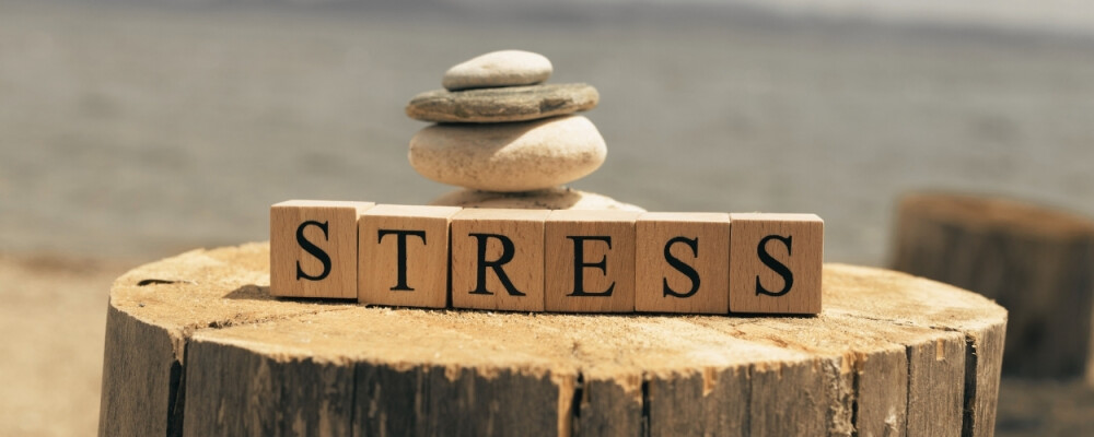 Stress loswerden: 7 einfache Tipps für ein entspanntes Leben! - Stress loswerden » 7 Tipps für ein entspanntes Leben!