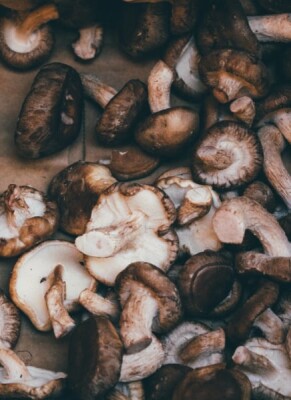 Shiitake Pilz: Welche Wirkungen sind belegt? (+Rezepte) - Shiitake Pilz: Welche Wirkungen sind belegt? [Rezepte]
