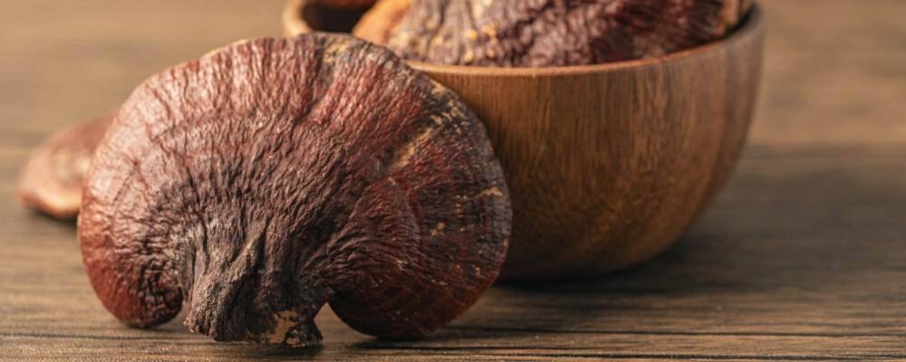 Reishi Vitalpilz: Wirkung, Dosierung (und Nebenwirkungen?) - Reishi Pilz » Wirkung, Nebenwirkungen &amp; Dosierung