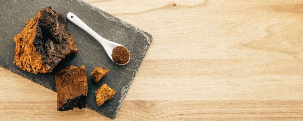 Chaga Pilz » Wirkung, Erfahrungen &amp; Tee-Zubereitung - Chaga Pilz » Welche Wirkung kann der Tee entfalten?