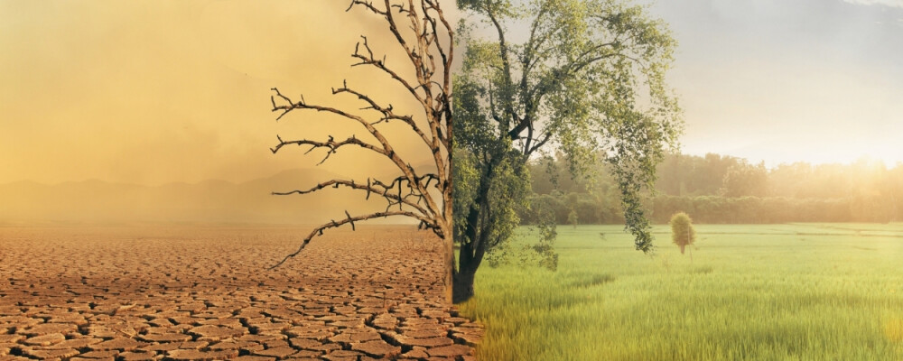 Klimawandel stoppen » was wirklich hilft: 11 Tipps - Klimawandel stoppen » was wirklich hilft: 11 Tipps