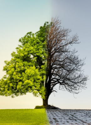 Klimawandel stoppen » was wirklich hilft: 11 Tipps - Klimawandel stoppen » was wirklich hilft: 11 Tipps
