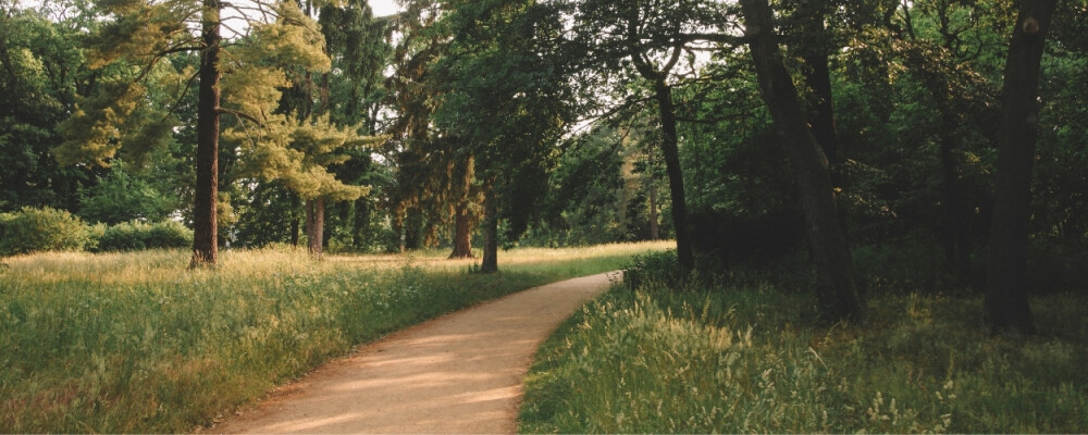 Das passiert mit deinem Körper, wenn du jeden Tag in die Natur gehst - Das passiert mit deinem Körper, wenn du jeden Tag in die Natur gehst