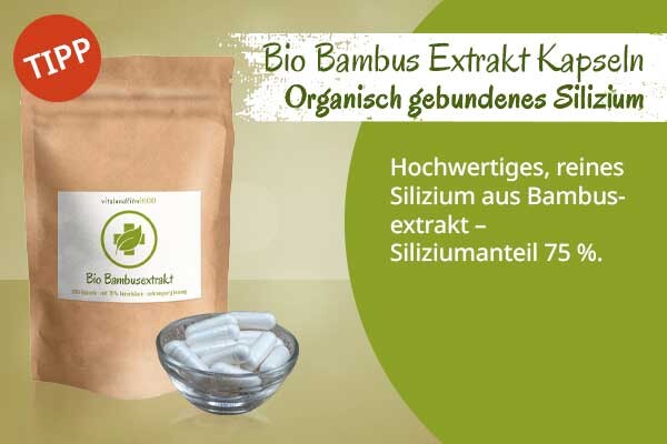 Bio Bambus Extrakt Kapseln