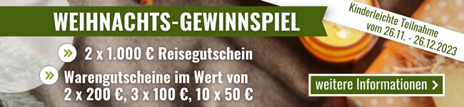 WEIHNACHTS-GEWINNSPIEL