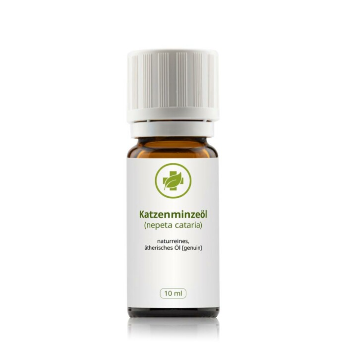 Katzenminzeöl (nepeta cataria) 10 ml