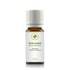 Kiefernadelöl (pinus sylvestris) 10 ml