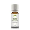 Lavendelöl Bulgarien (lavendula angustifolia) 10 ml
