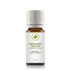 Weihrauchöl / Olibanumöl (boswellia serrata) 10 ml