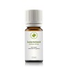 Zuckerbirkenöl (betula lenta) 10 ml