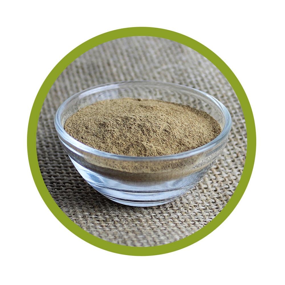 Bio Camu Camu Pulver 100 g