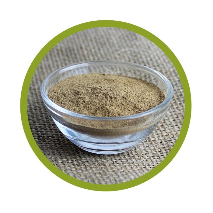 Bio Camu Camu Pulver 100 g