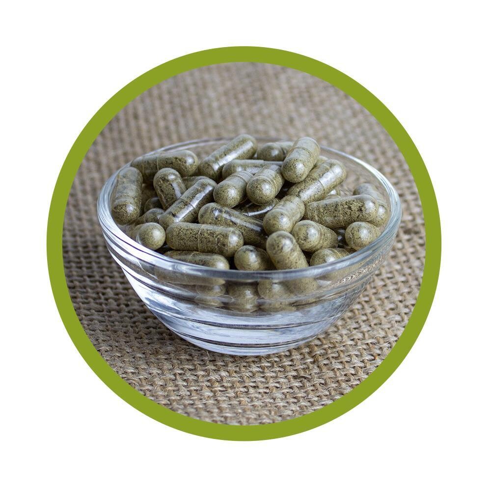 Bio Kelp Kapseln 100 Stück