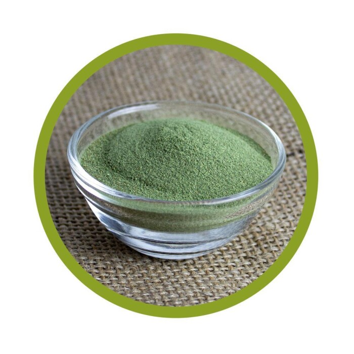 Bio Grünkohl Pulver 100 g