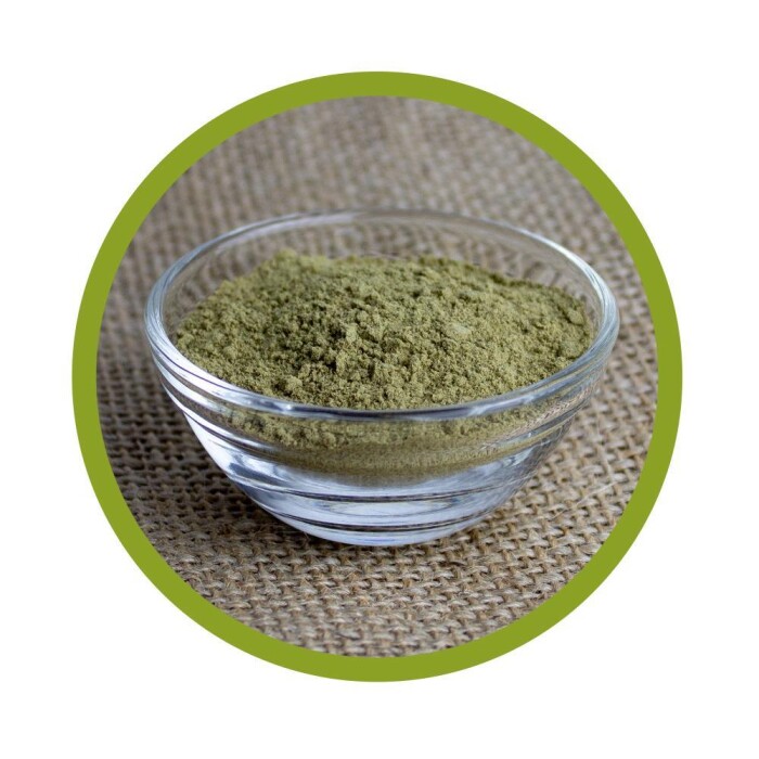 Bio Hanf Protein Pulver 500 g