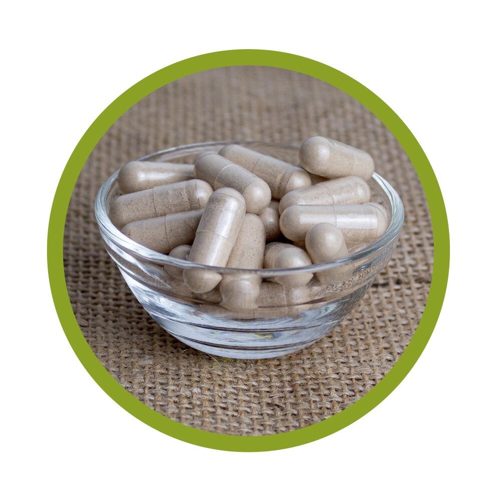 Mexican Wild Yam Yamswurzel Kapseln 120 Stück