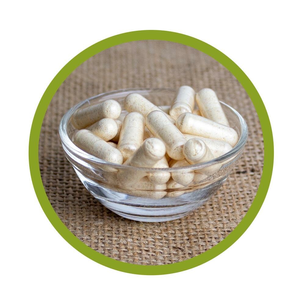 Ziegenkolostrum Kapseln (38 % IGG) 100 Stück