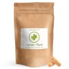 Curcumin + Piperin Extrakt Kapseln 100 Stück