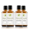 Chlordioxid 0.3 % Chlordioxidlösung CDS CDL 100 ml in Braunglas Sparpaket (small) 3 Flaschen kaufen, 4 Flaschen erhalten