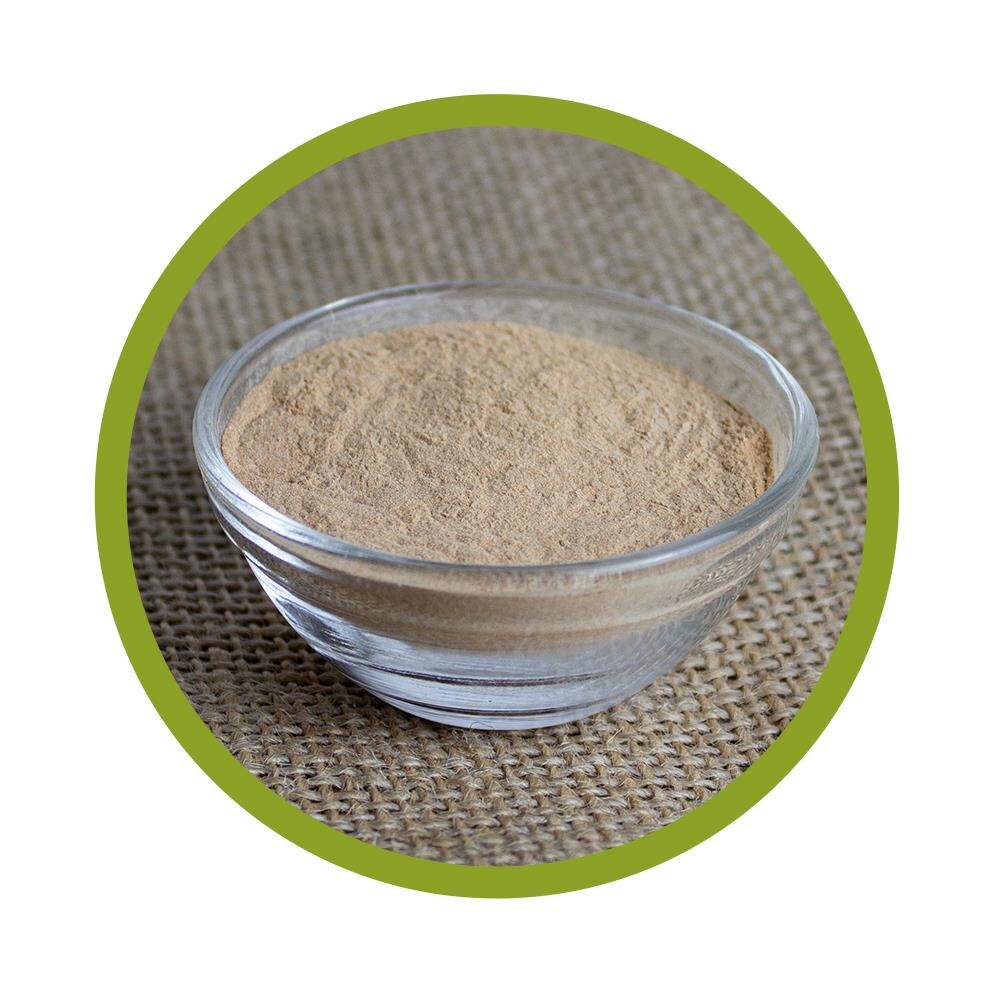 Grüner Tee 10:1 Extrakt 100 g (mit 7-9% Koffein + 50% Polyphenole)
