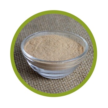 Grüner Tee 10:1 Extrakt 100 g (mit 7-9% Koffein + 50% Polyphenole)