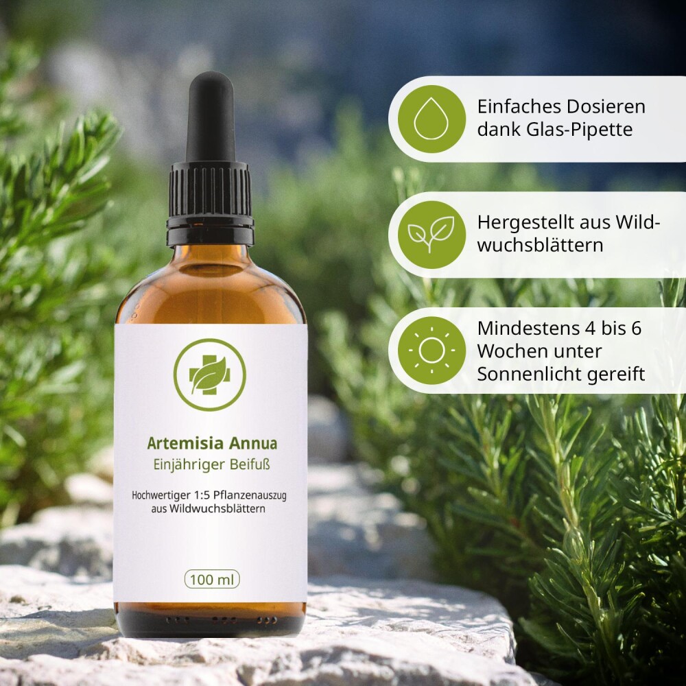 Artemisia Annua Tinktur 100 ml