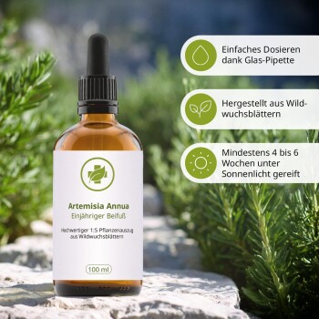 Artemisia Annua Tinktur 100 ml