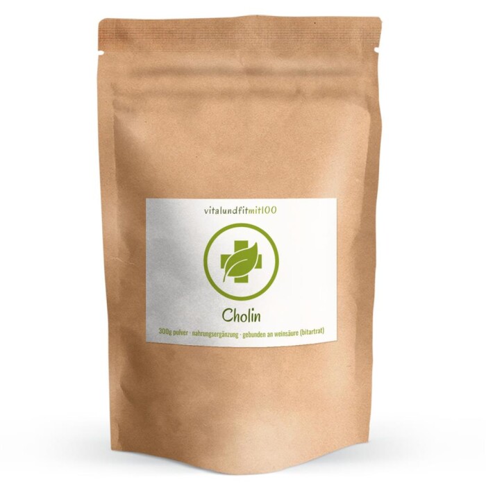 Cholin Pulver 300 g