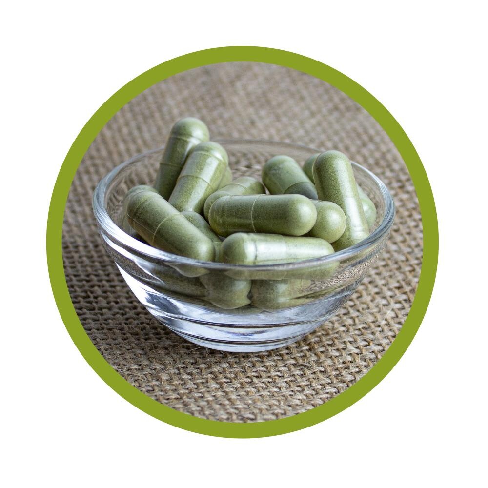Bio Moringa Oleifera Kapseln 100 Stück