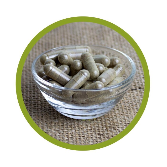 Bio Propolis Kapseln 90 Stück