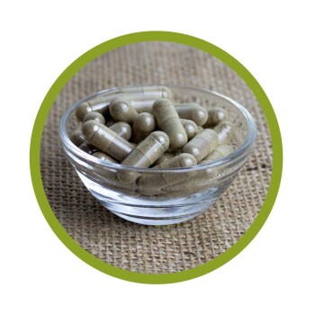 Bio Propolis Kapseln 90 Stück