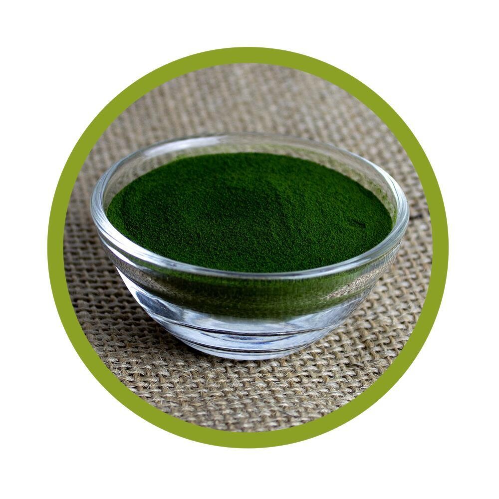 Bio Gerstengrassaft Pulver 200 g