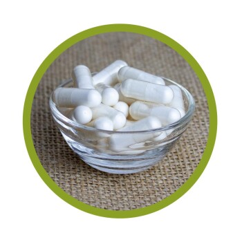 SAMe Kapseln 60 Stück