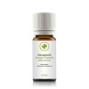 Estragonöl (Tarragon artemisia dracunculus) 10 ml