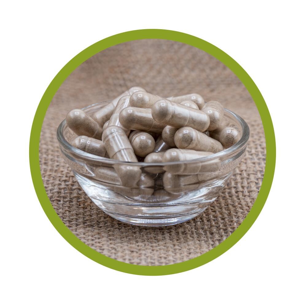 Bio Ashwagandha KSM-66 Kapseln 100 Stück
