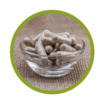 Bio Ashwagandha KSM-66 Kapseln 100 Stück