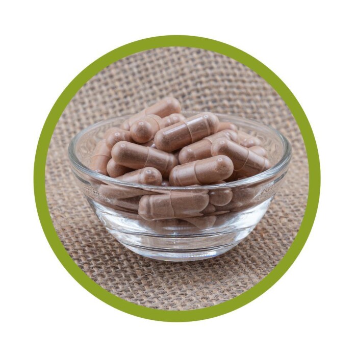 OPC Pycnogenol® + Vitamin C Kapseln 60 Stück