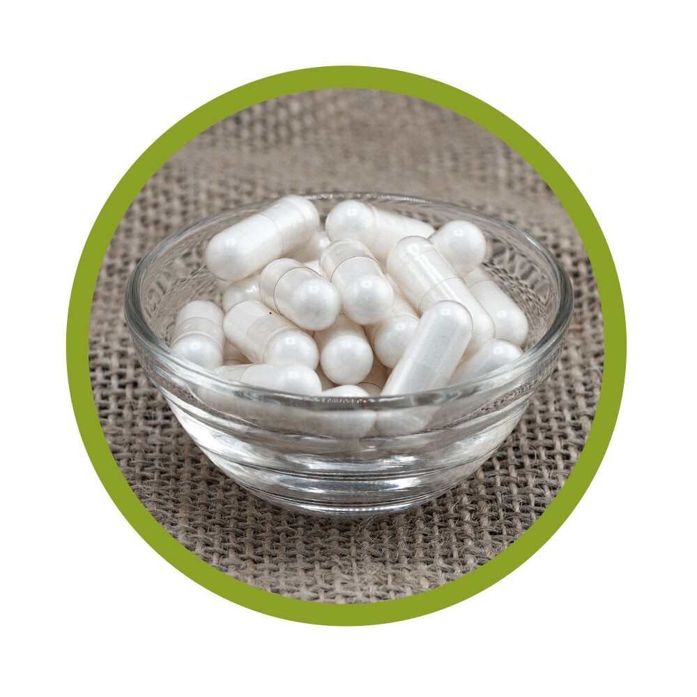 Acetyl-L-Carnitin Kapseln 200 Stück