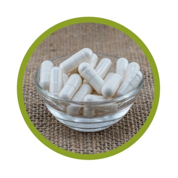 L-Histidin Kapseln 200 Stück